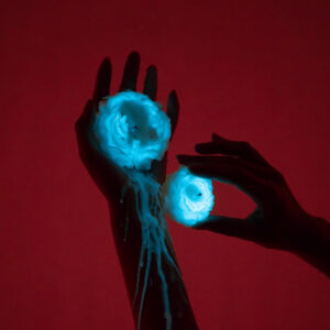 Freyona Peony Glow hohtava kynttilä lämpöleikkeihin